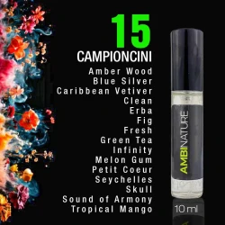 Kit Essenze Profumatori Ambientali - 15 campionicini 10ml