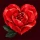 Red Passion 